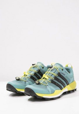 Zapatillas de senderismo adidas Performance TERREX BOOST GTX negero/verde